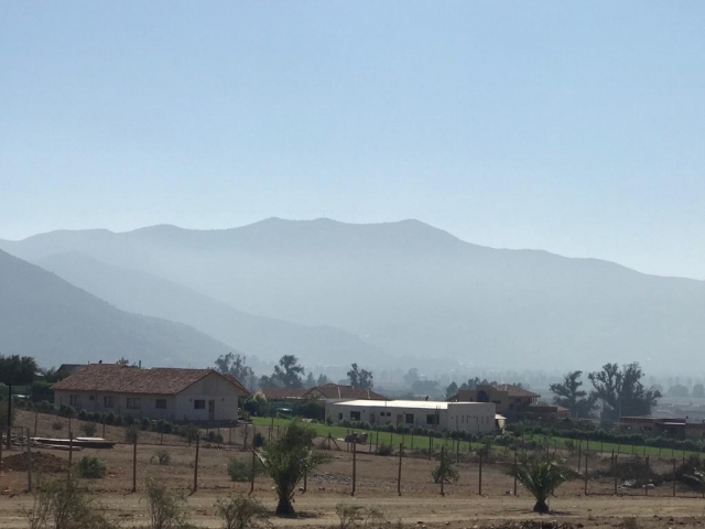 WhatsApp Image 2020-04-27 at 16.47.11.jpeg